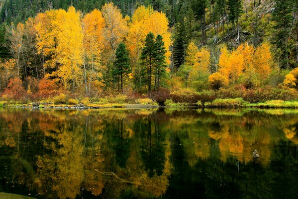 Reflejo en el agua del bosque de Otoño