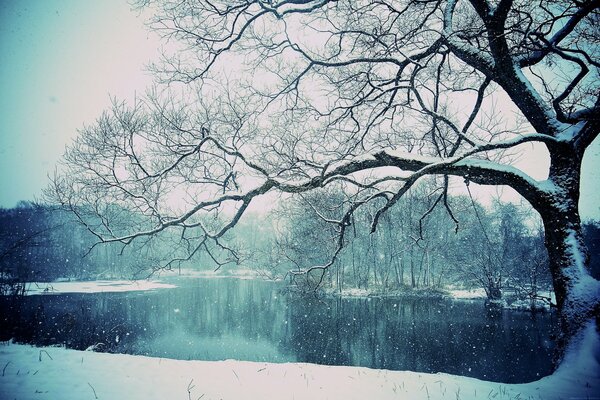 Lago de invierno temprano en la mañana