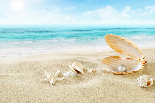 Estrella de mar cerca de la perla en la playa