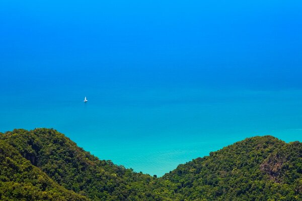 Vista desde arriba de la jungla y el hermoso océano turquesa