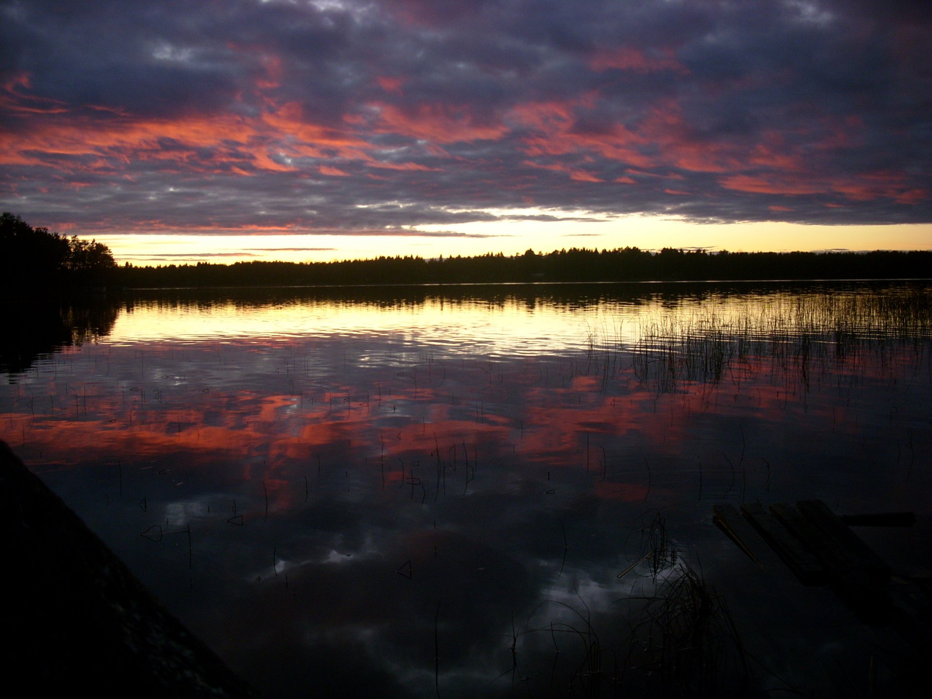 suecia umeå lago naturaleza cielo