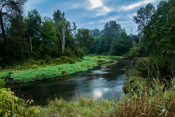 Hermoso paisaje canadiense. Río en el bosque