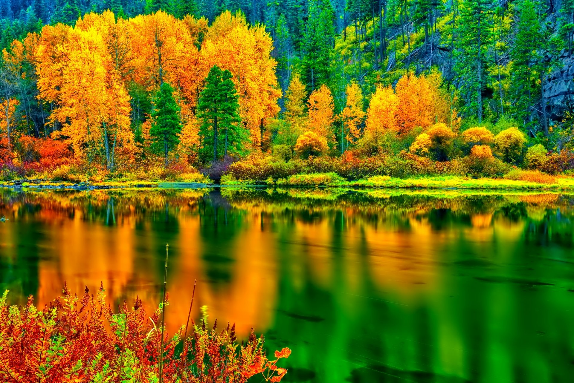 bosque pendiente árboles otoño reflexión lago