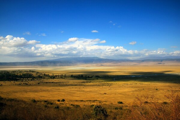 Un campo infinito bajo el cielo azul