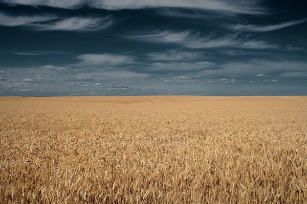El campo arrastró nubes sobre el cielo