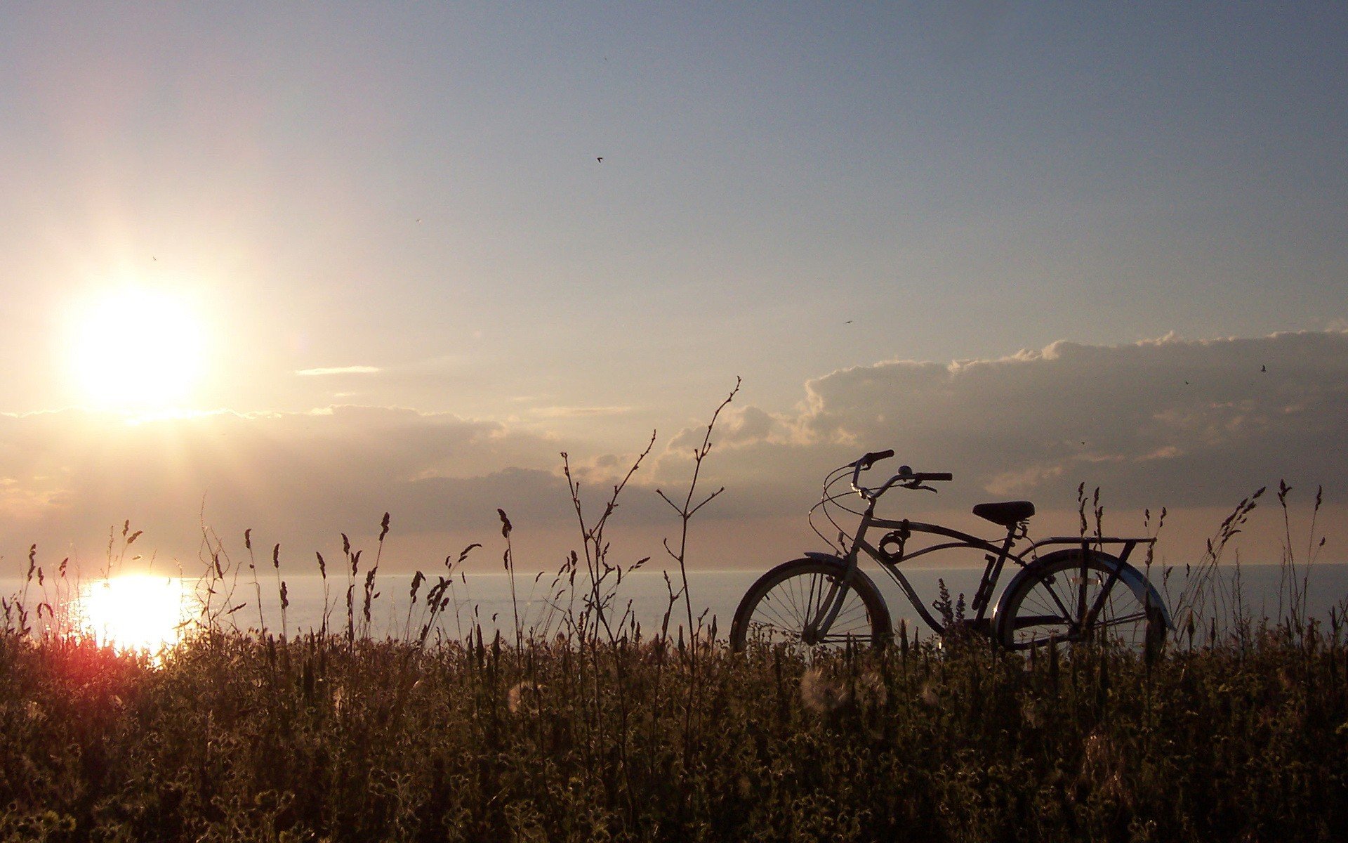 bicicleta sol hierba