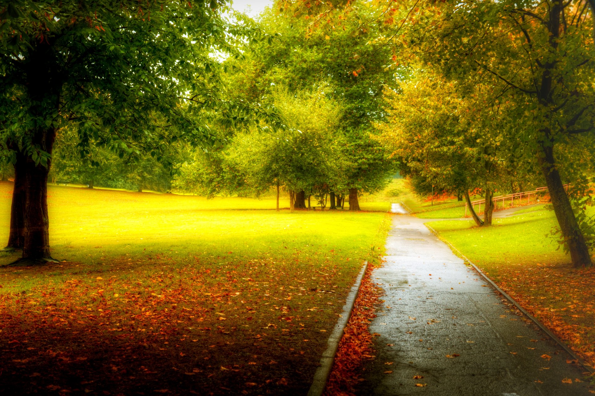 naturaleza bosque parque árboles hojas colorido camino otoño caída colores paseo