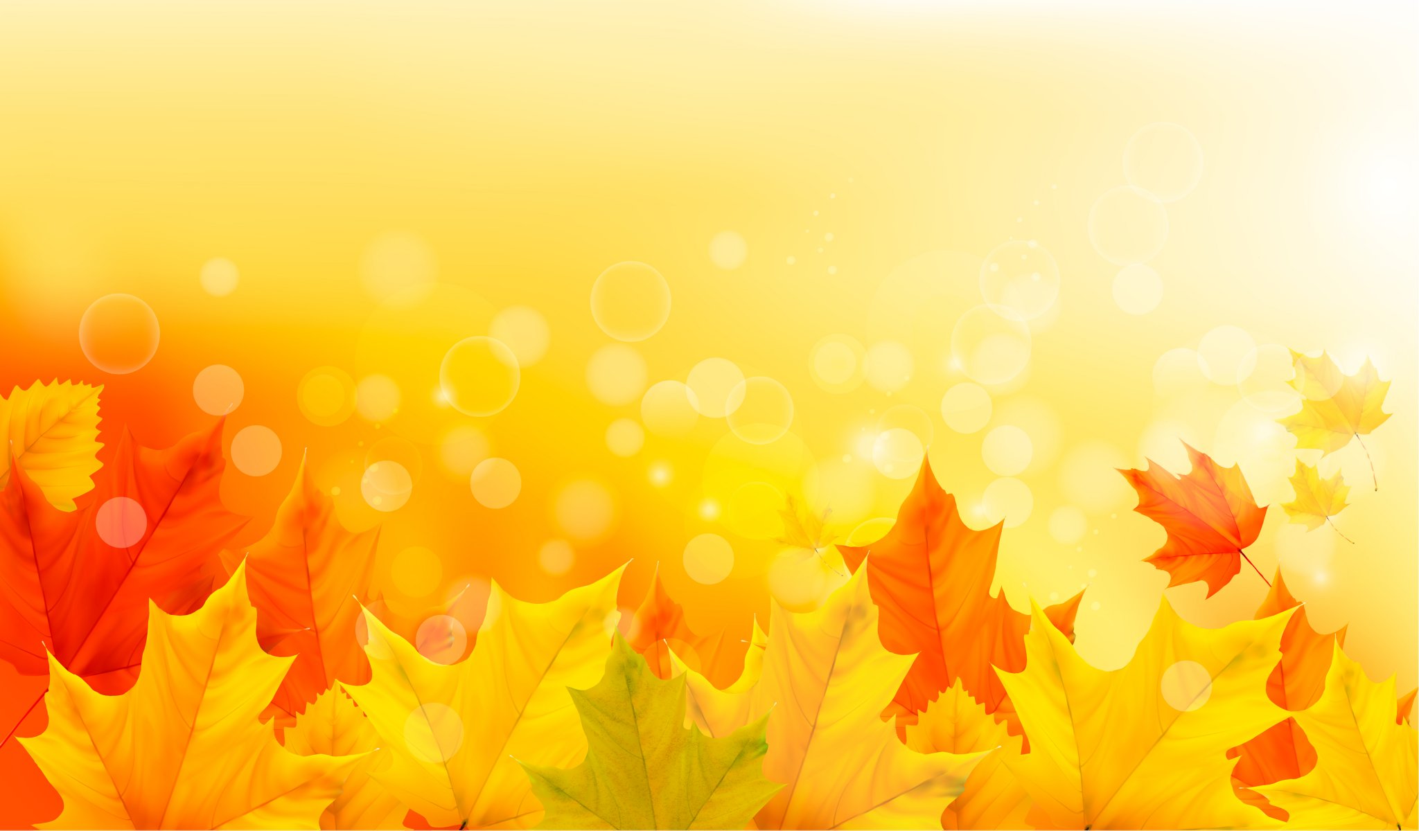 otoño hojas arce otoño fondo