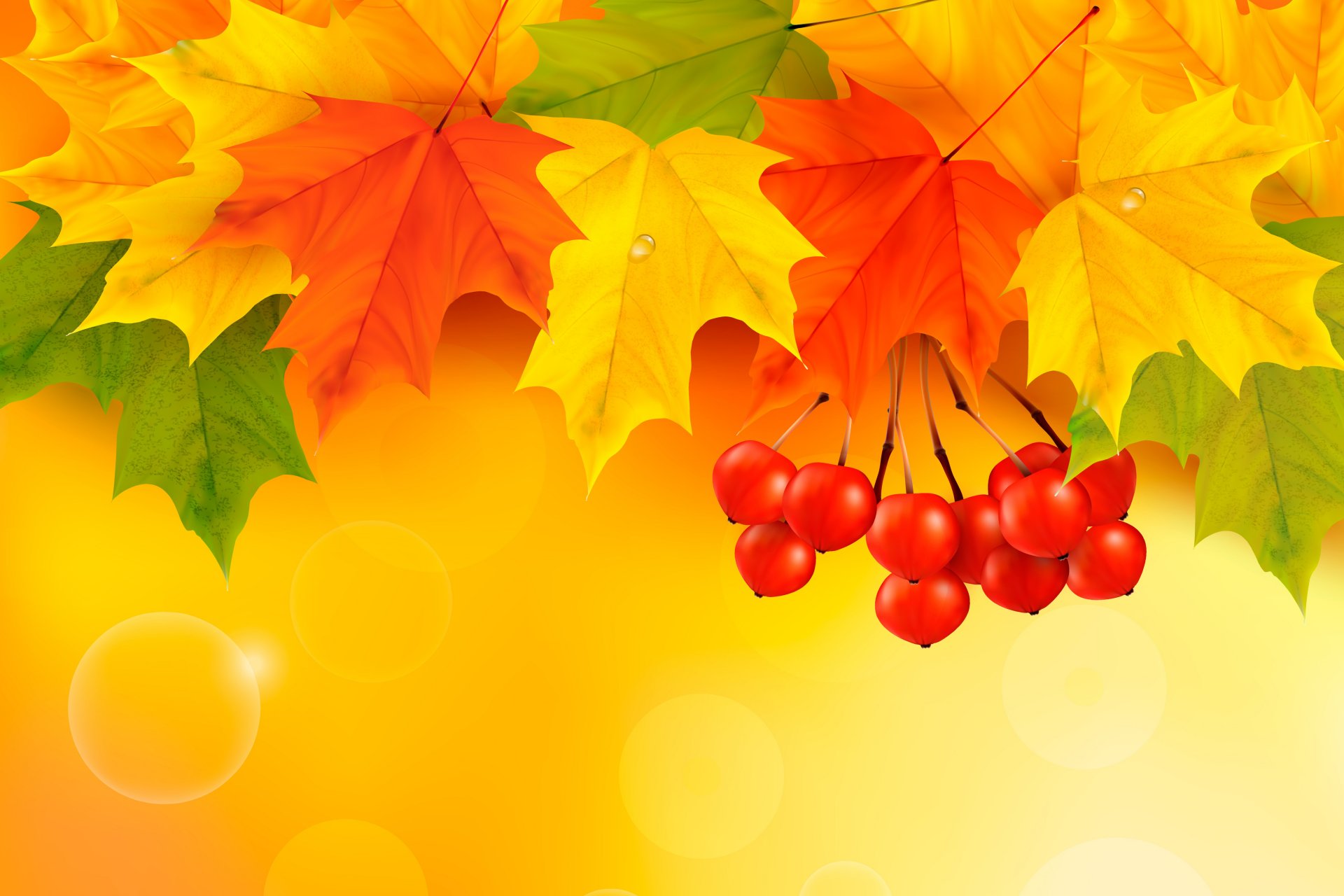 otoño hojas arce otoño fondo