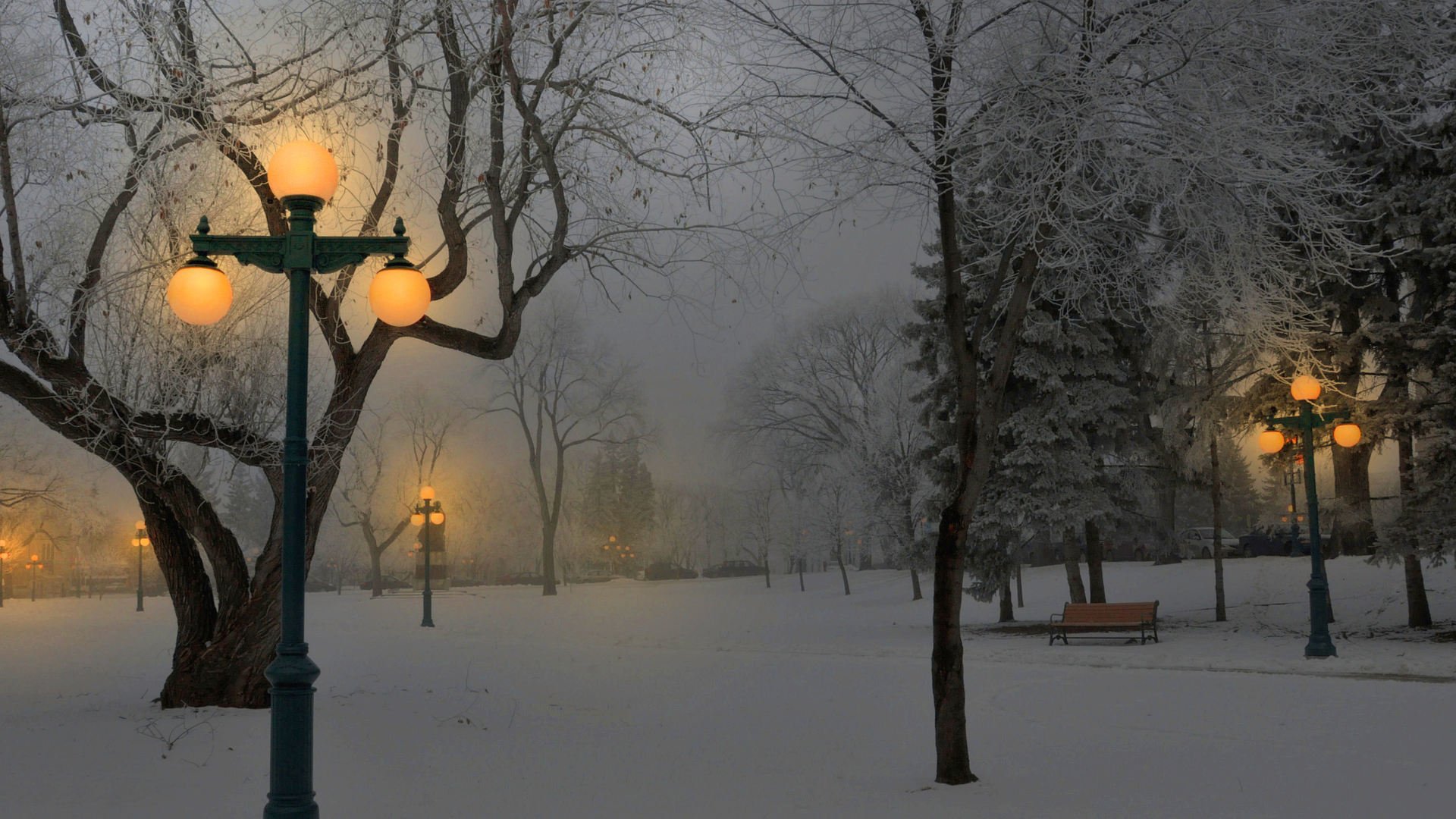 invierno nieve parque bancos linternas luz
