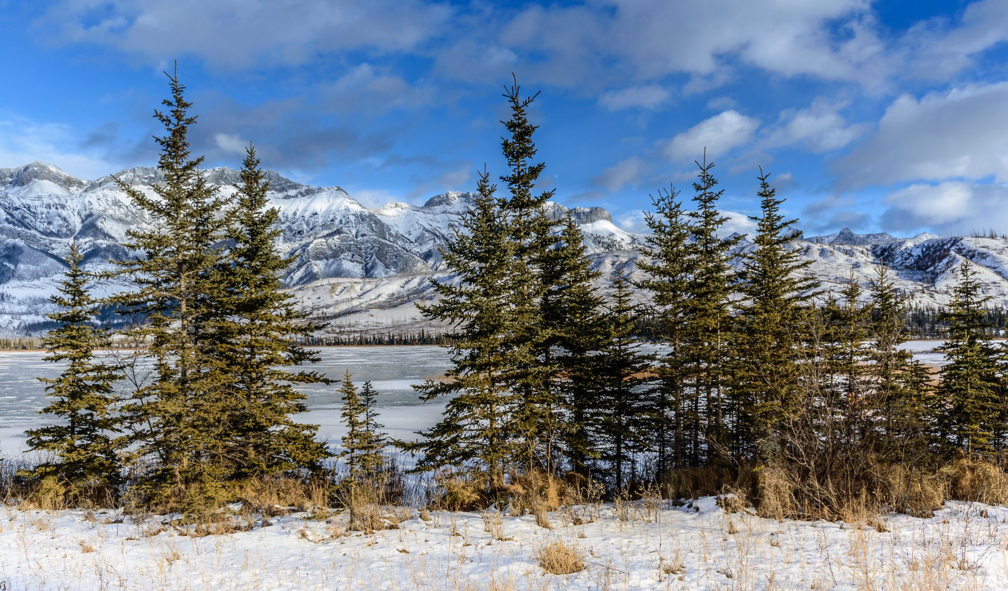 canadá alberta jasper parque nacional montañas lago abeto nieve