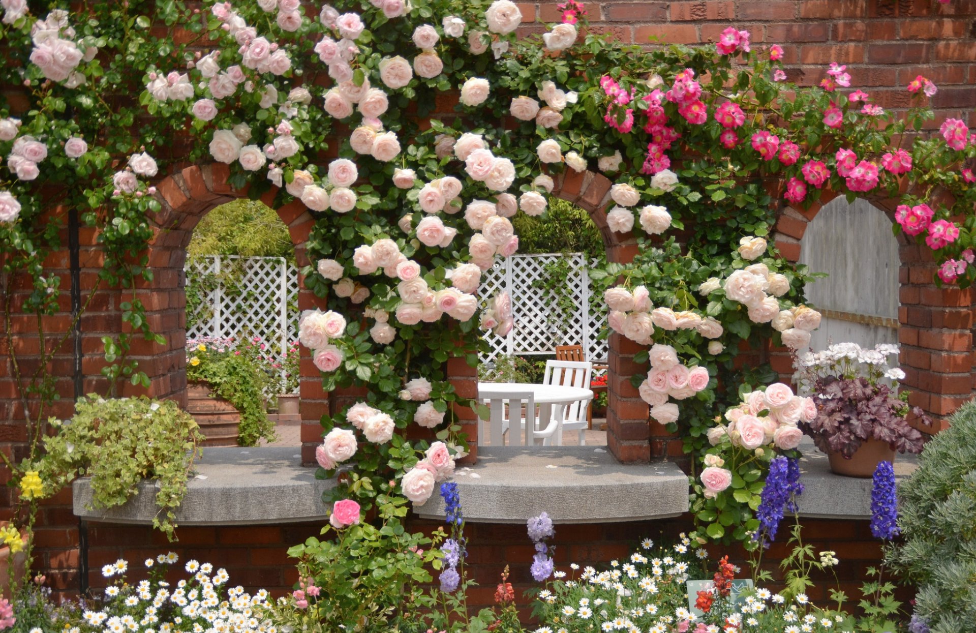 jardín rosas margaritas flores