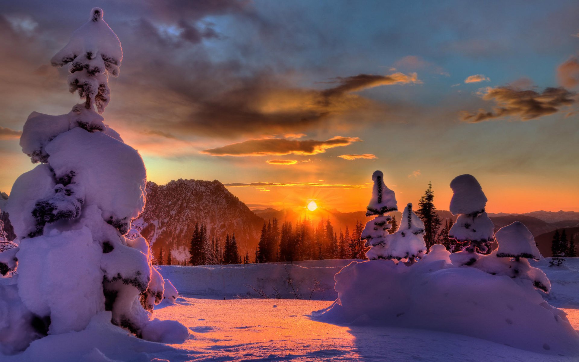 nieve bosque sol puesta de sol