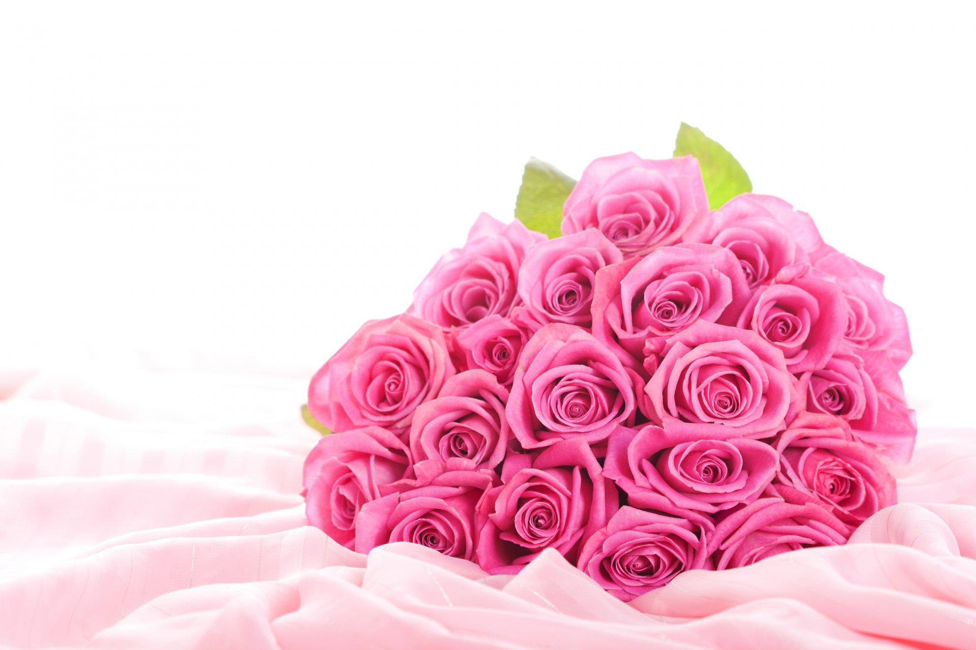 flores rosas flores rosadas rosas rosadas ramo chic brotes hojas seda tela fondos de escritorio fondos de escritorio mejores fondos de escritorio fondos de pantalla fondos de pantalla de pantalla ancha fondos de pantalla de pantalla ancha fondos de pantalla de pantalla ancha descargar