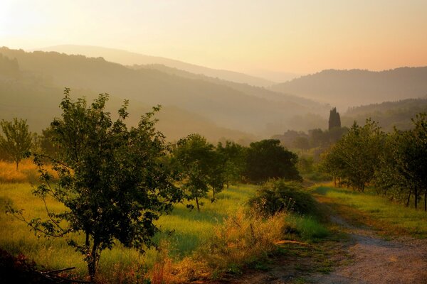 Puesta de sol y sendero en un hermoso campo verde