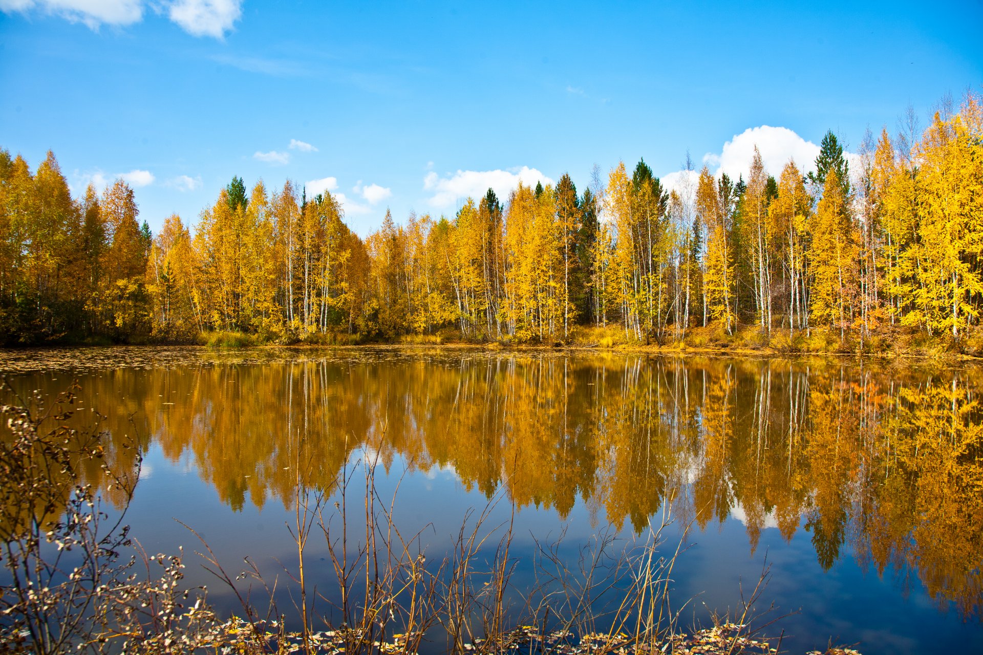 naturaleza otoño bosque cielo lago