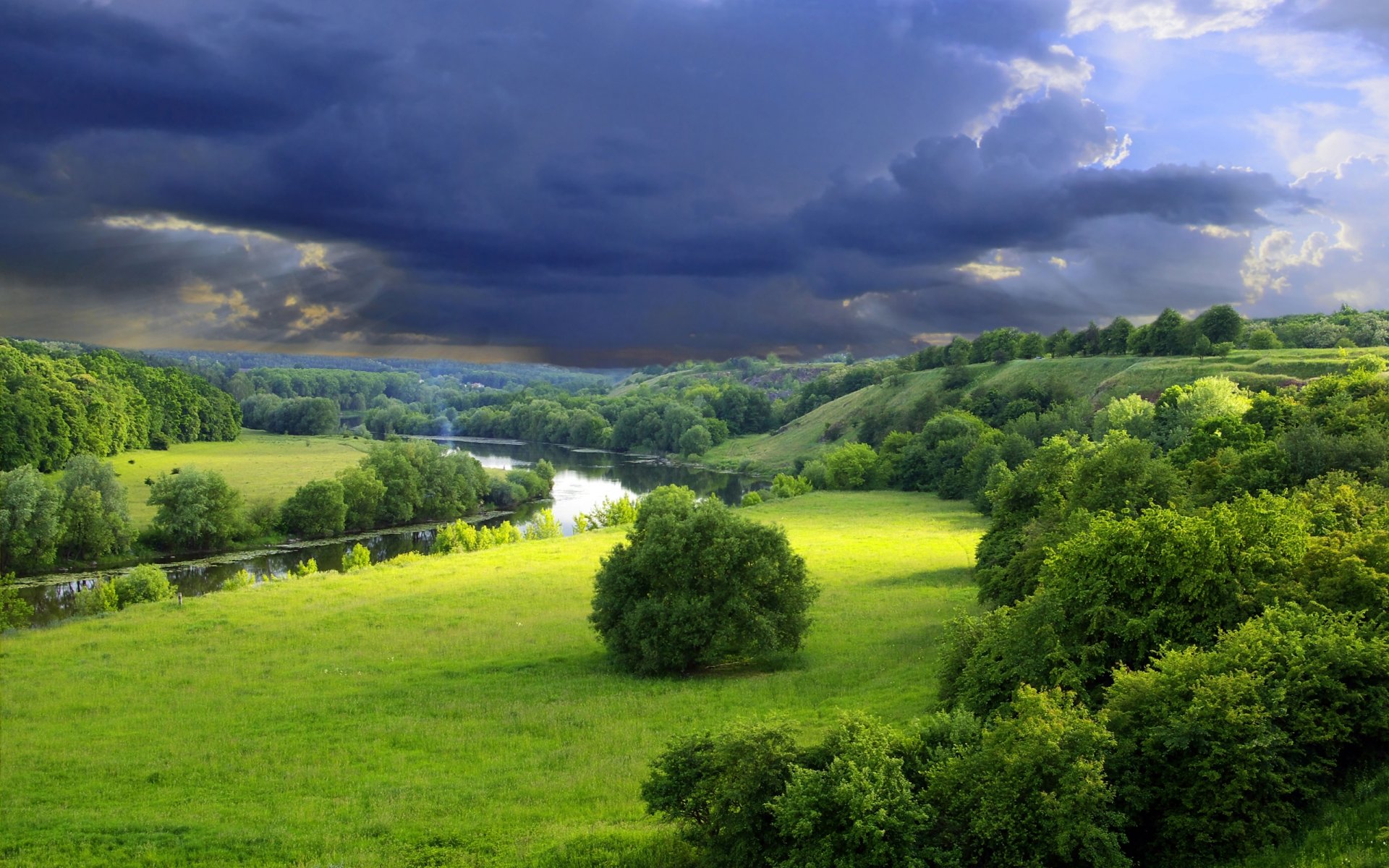 naturaleza río verano vegetación árboles arbustos