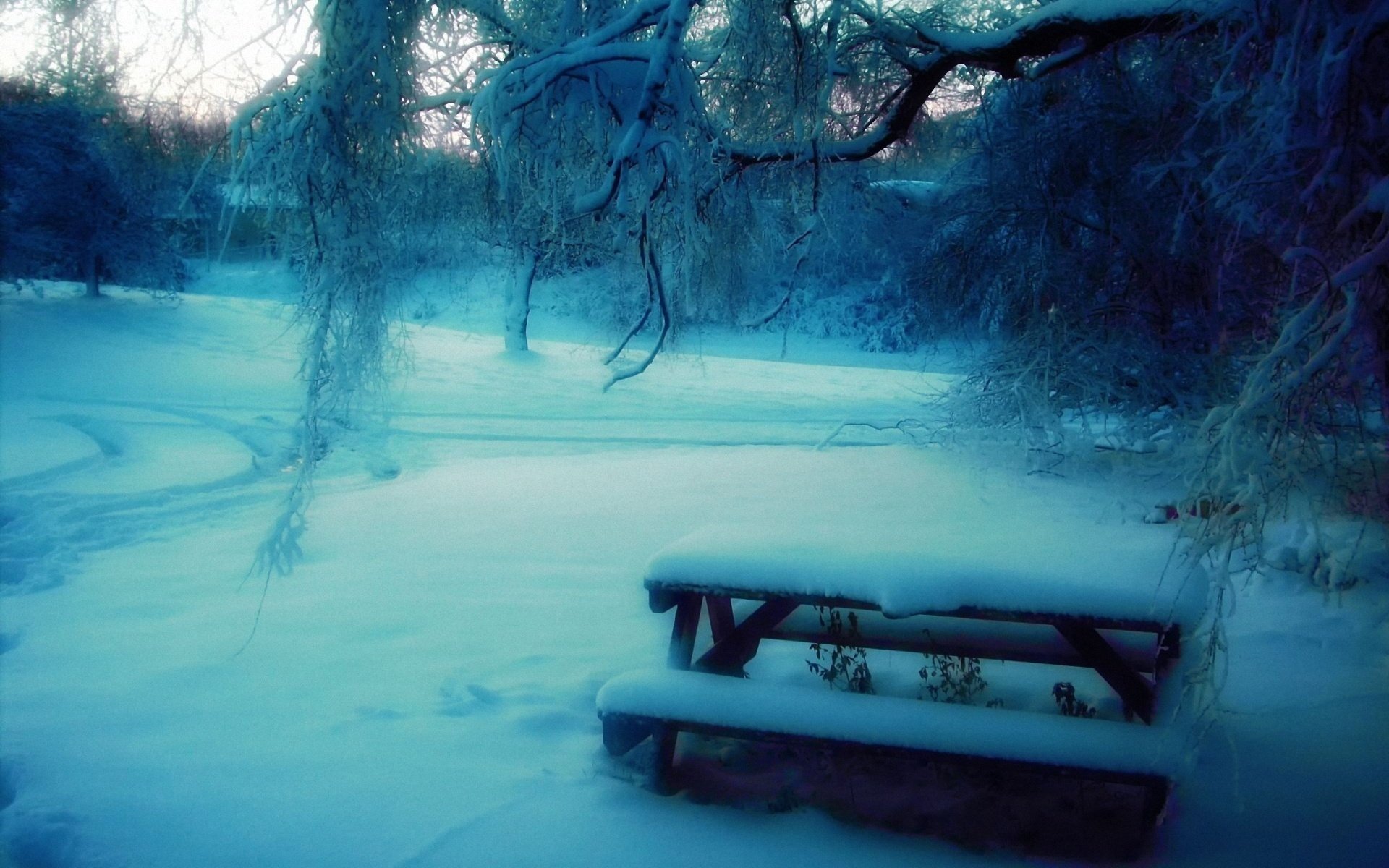 invierno nieve parque árboles banco mesa desenfoque