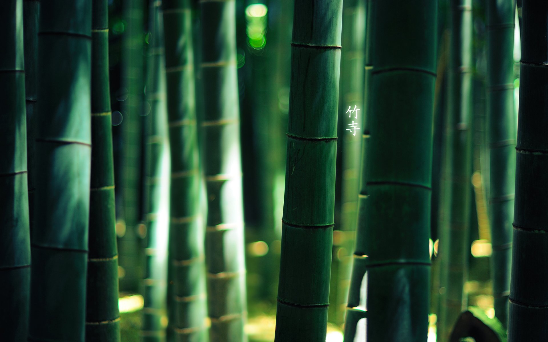 madera bambú jeroglíficos verde por burningmonk 1920x1200