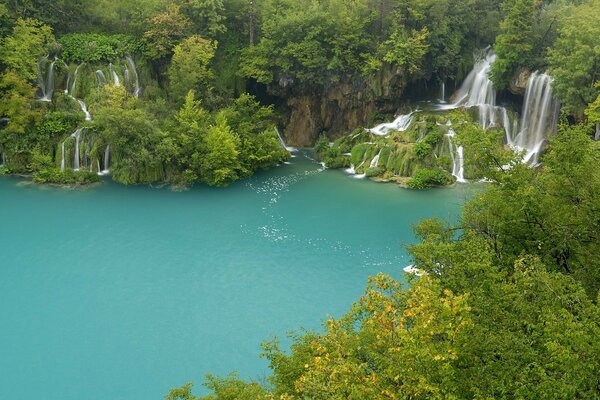 ПлитвицкОе lago entre los árboles