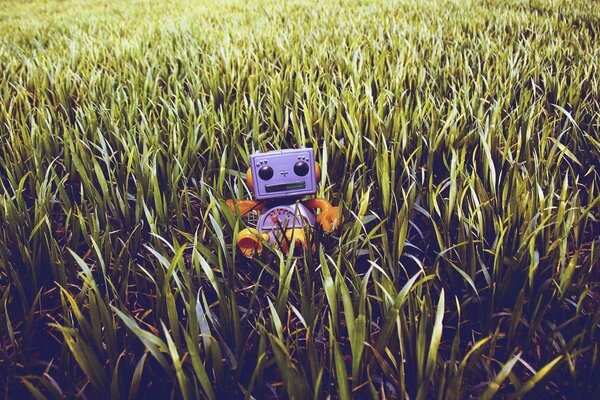 Robot de juguete sentado en la hierba del campo