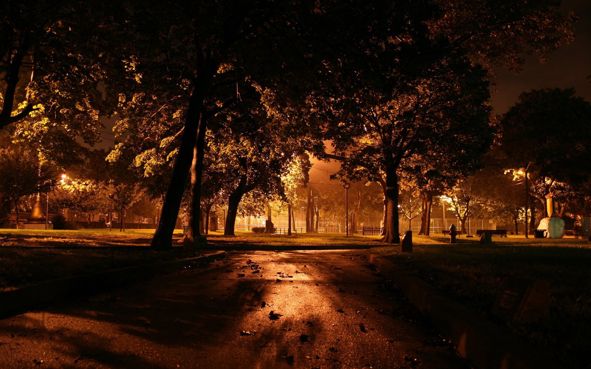 noche árboles linternas