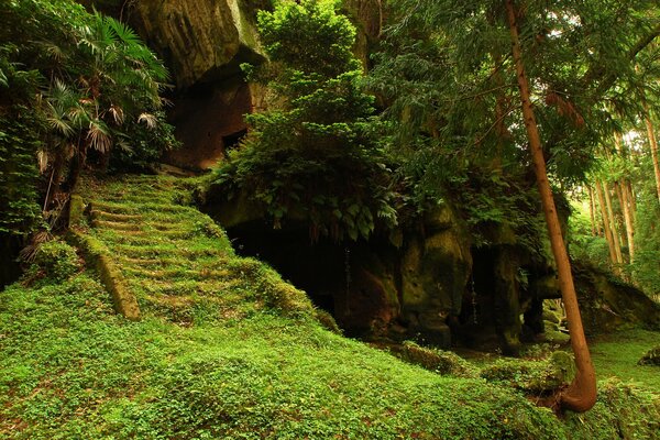 Templo abandonado en las profundidades del bosque