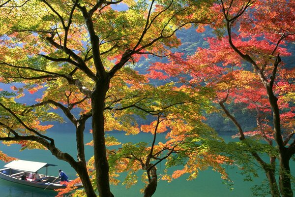 Árboles de otoño en el fondo de un barco flotante