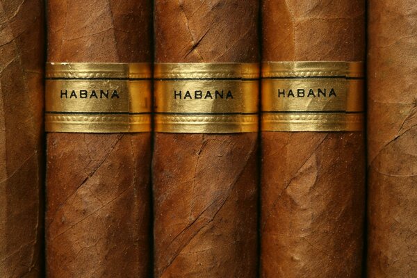Marrón cubano cigarro gold label primer plano