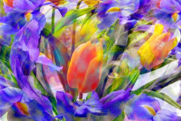 Tulipán naranja en iris en el Prado