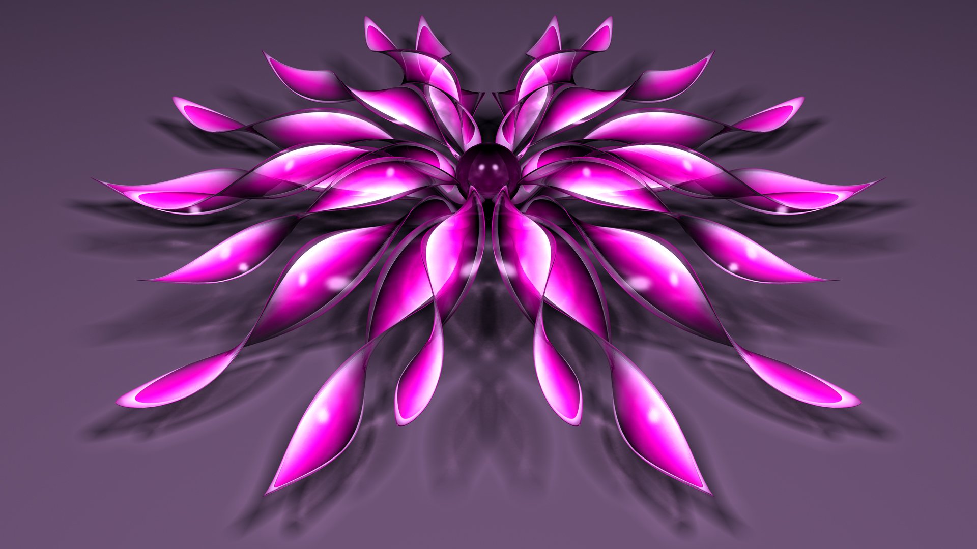 flor pétalos bola fondo