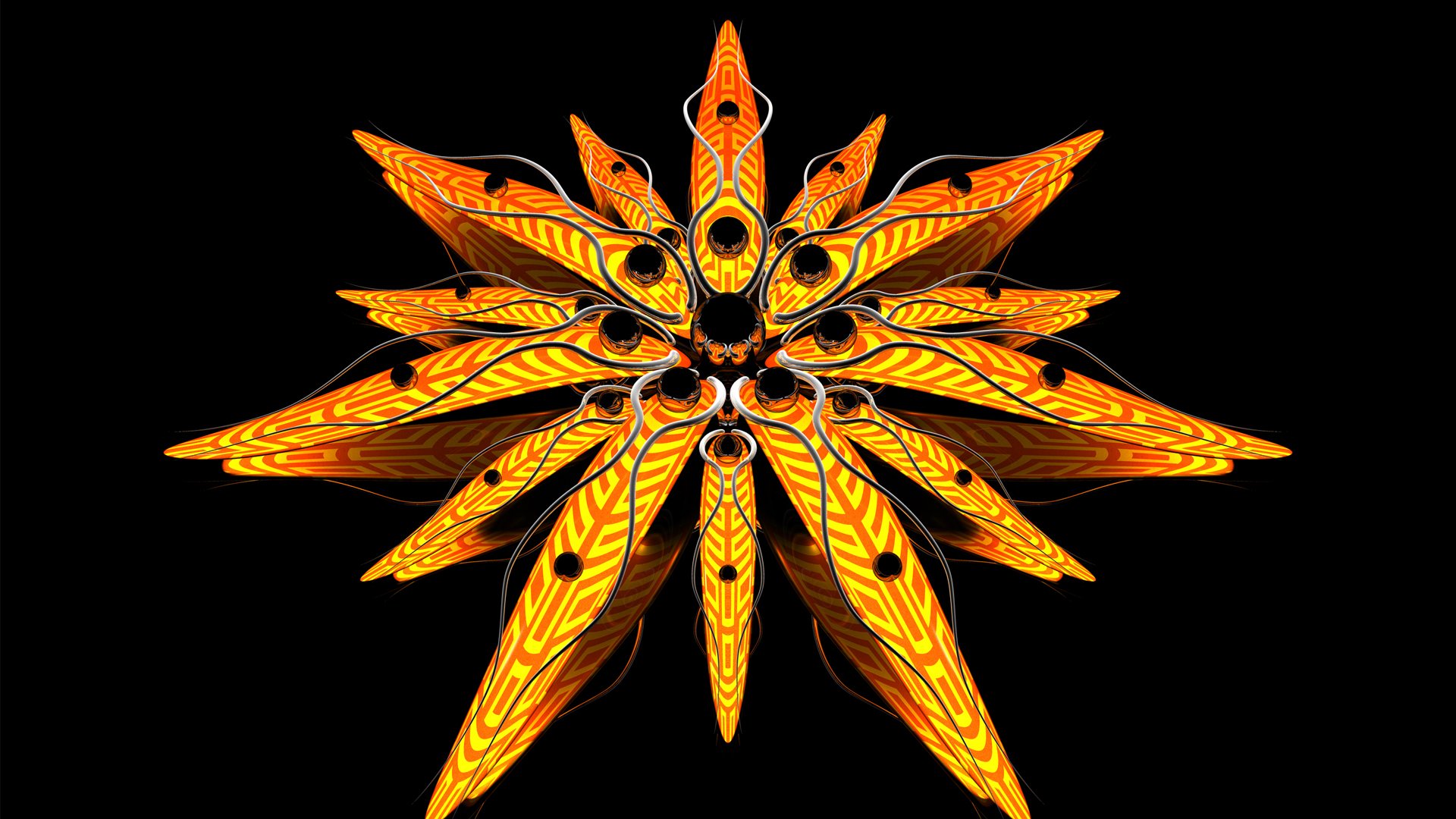 abstracción flor líneas