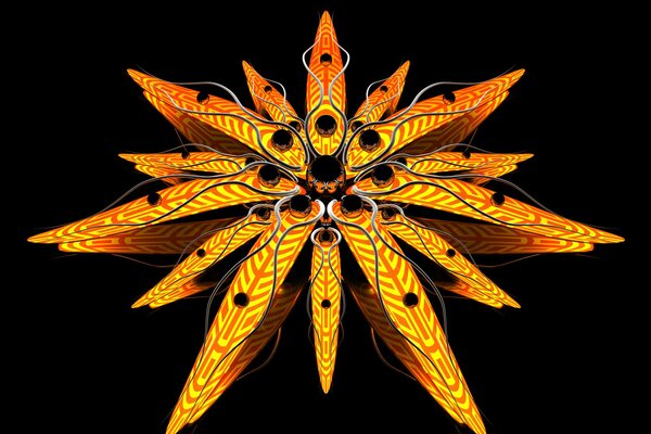 Líneas de flores en abstracción