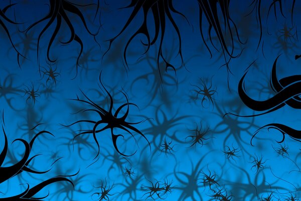 Patrones negros sobre fondo azul