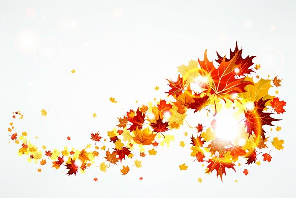 Caída de otoño de hojas de arce de colores