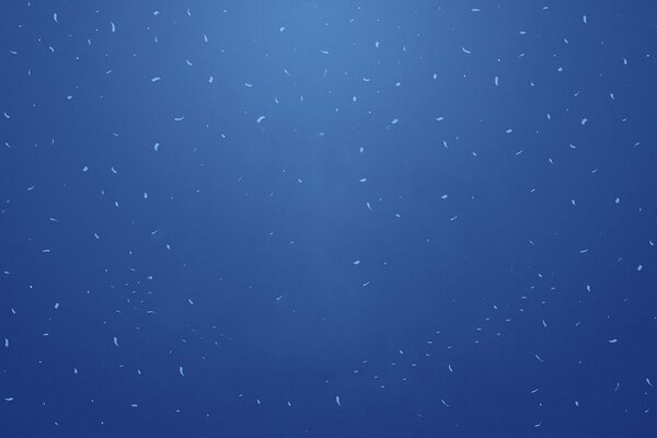 Guiones blancos sobre fondo azul