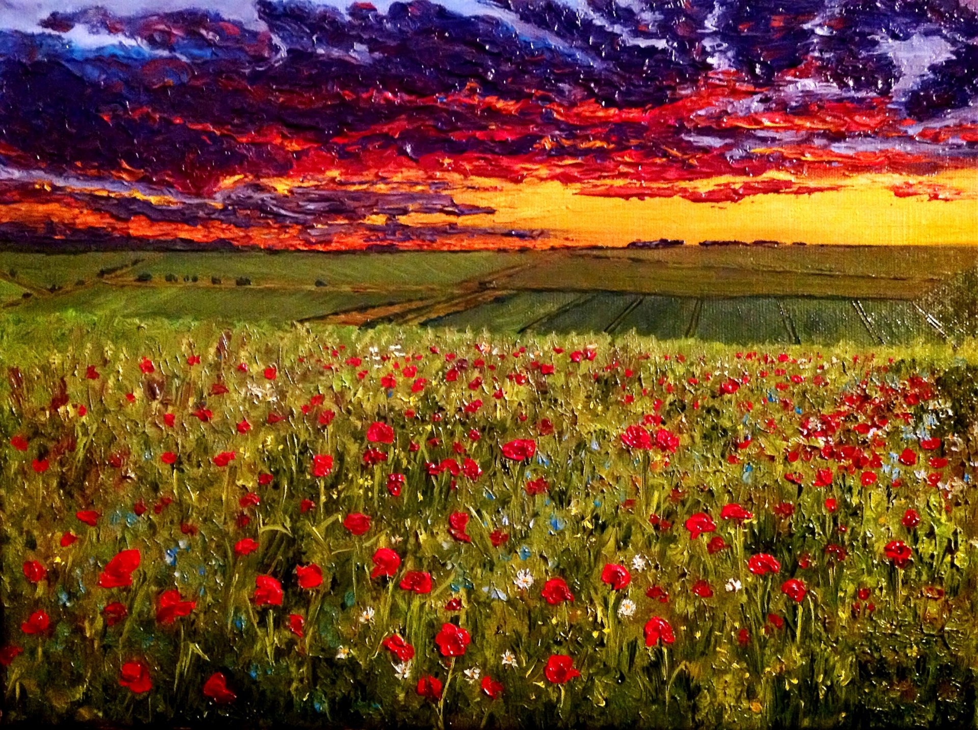pintura cielo nocturno sobre el campo de amapola óleo sobre lienzo artista o. katz