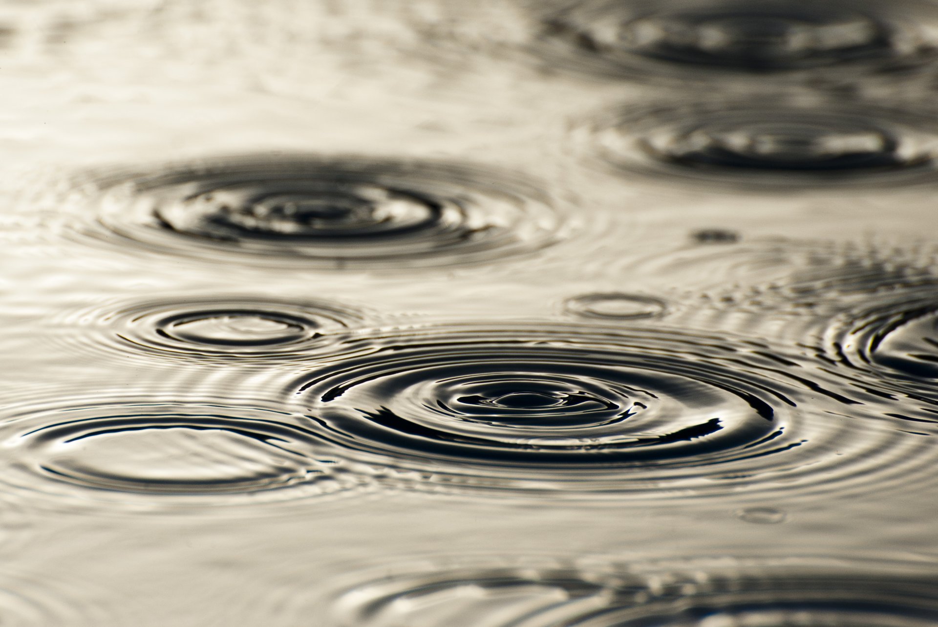lluvia agua gotas círculos divorcios