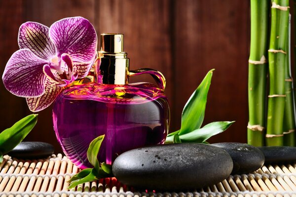 Botella de perfume junto a orquídea y piedras de masaje negro