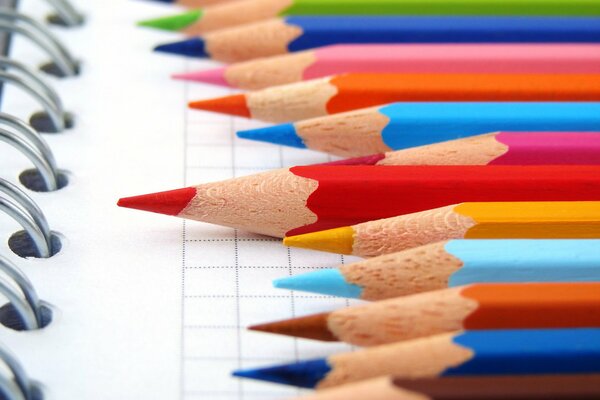 Lápices de colores de madera en una hoja de cuaderno a cuadros