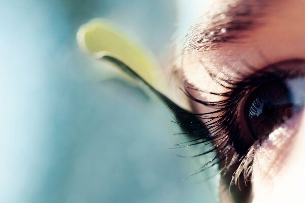 La mirada del hombre en la foto del ojo