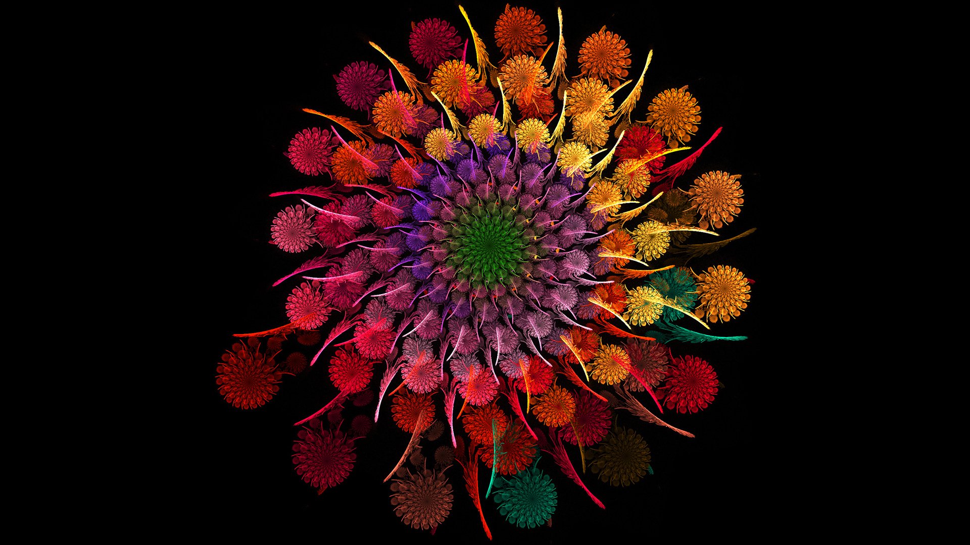 espiral arco iris flor pétalos círculo ramo