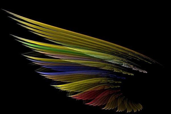 Plumas como Recepción original y de moda