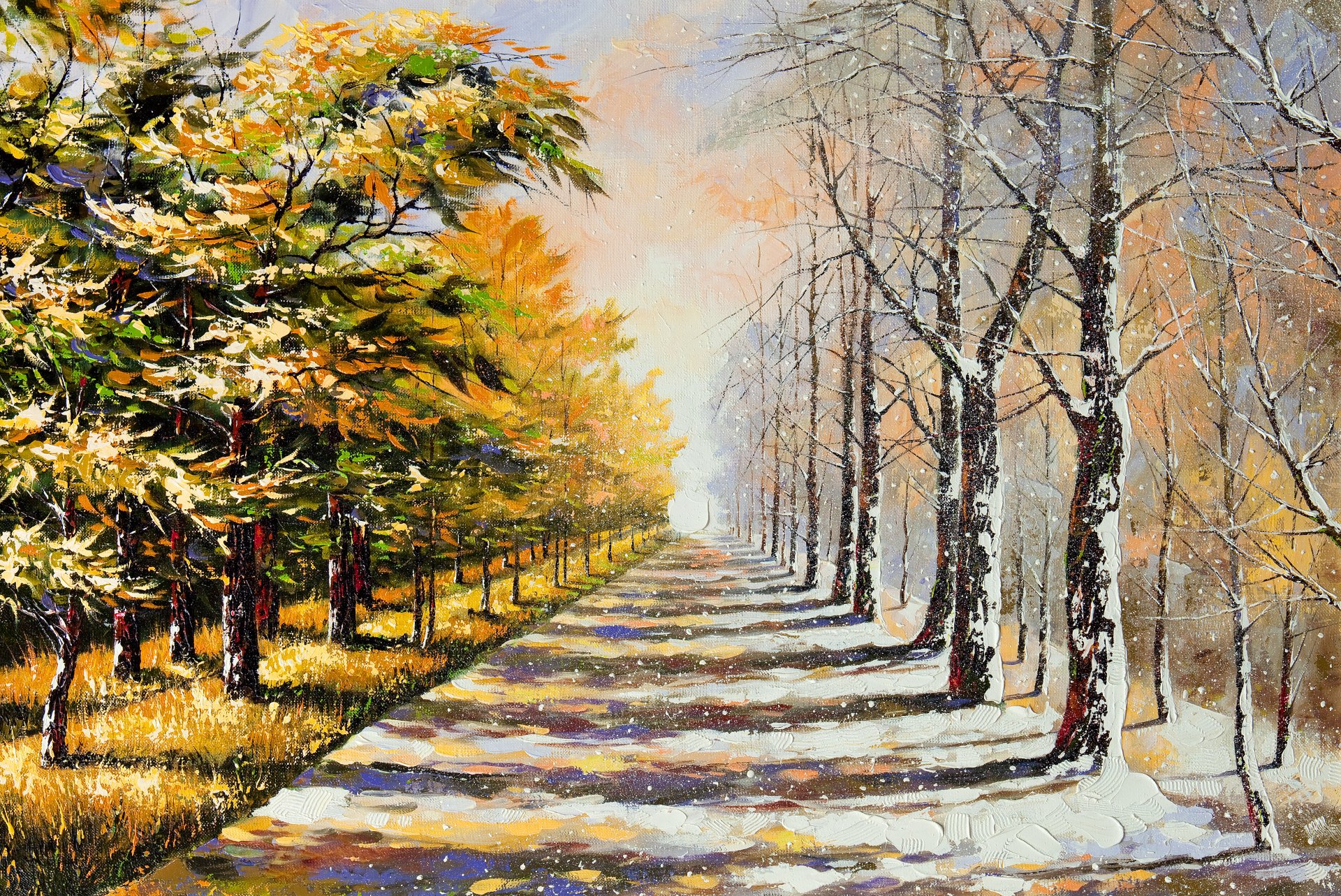 invierno verano árboles follaje nieve carretera