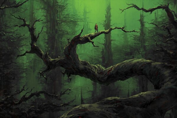 Bosque sombrío en el crepúsculo