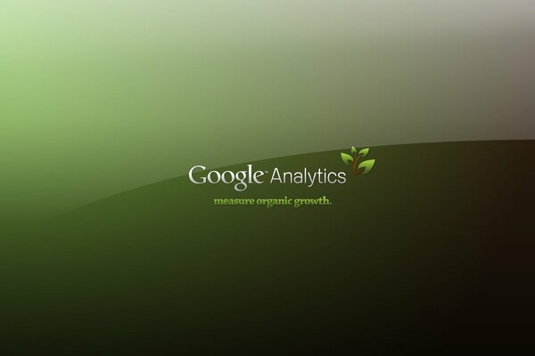 Inscripción verde google analytics