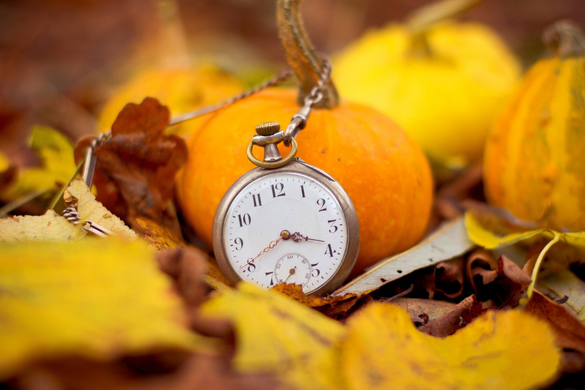 reloj cadena esfera manos tiempo hojas calabazas otoño