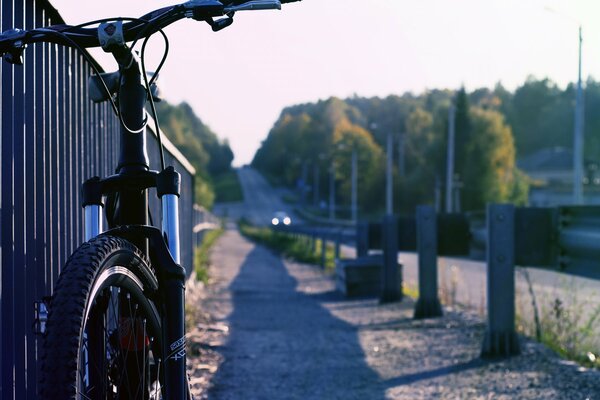 Humor soleado para un paseo en bicicleta