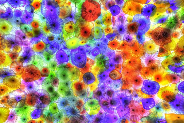 Imagen bajo el microscopio, microcosmos, ameba