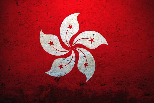 Imagen del escudo de armas-flor en la pared roja